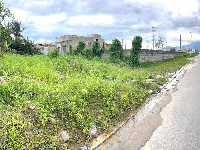 Área para Venda em Caraguatatuba - 5