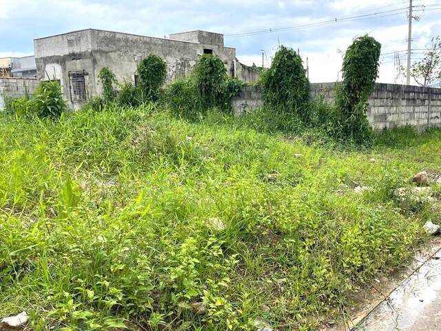 Área para Venda em Caraguatatuba - 4