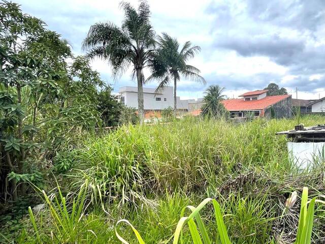 #20 - Área para Venda em Caraguatatuba - SP